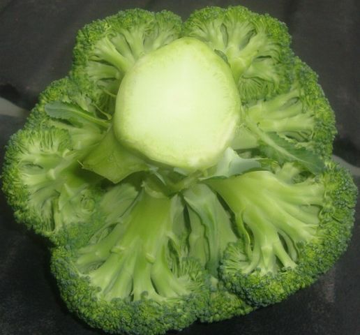 abajo brocoli