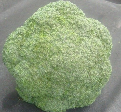 arriba brocoli