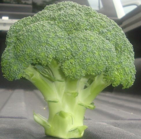 lado brocoli