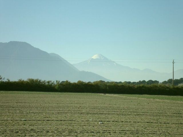 cultviso
